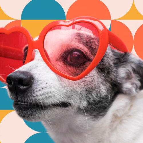 Traveling Solo Is Awesome